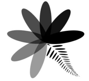 CSSA 11 - Traduction des documents valides au format NZ